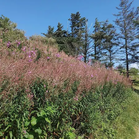 Дом отдыха 6 Person In Йёрринг