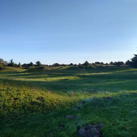 6 Person In * Йёрринг