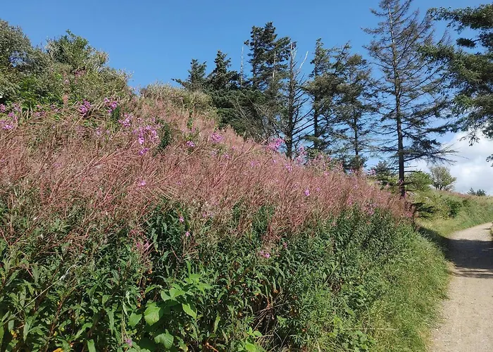 Дом отдыха 6 Person In Йёрринг